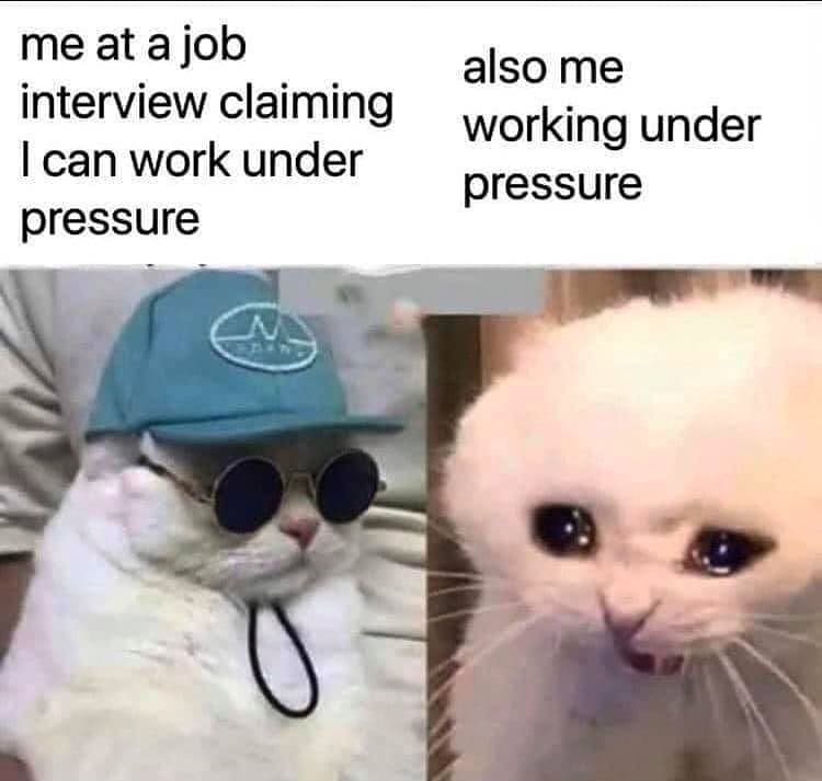 working under pressure cat meme - me at a job interview claiming I can work under pressure also me working under pressure