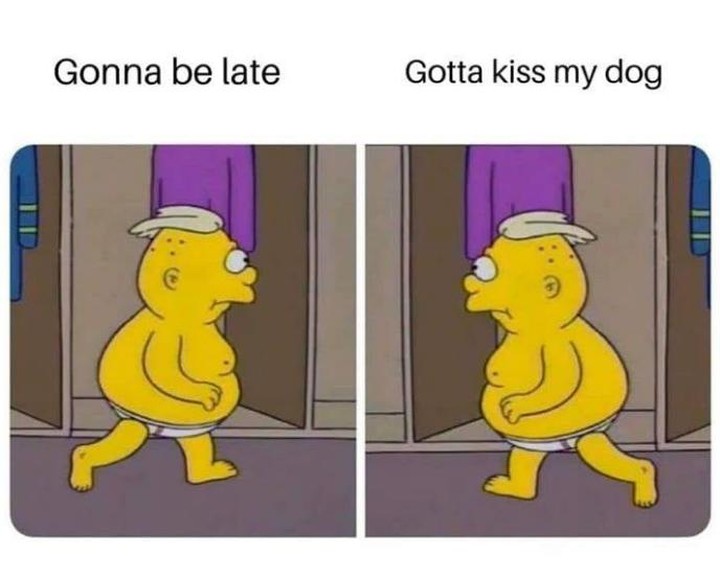 gonna be late gotta kiss my dog - Gonna be late Gotta kiss my dog