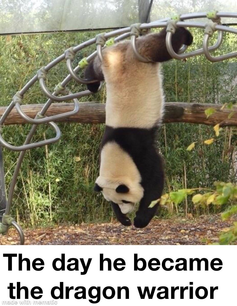 The day he became the dragon warrior made with mematic