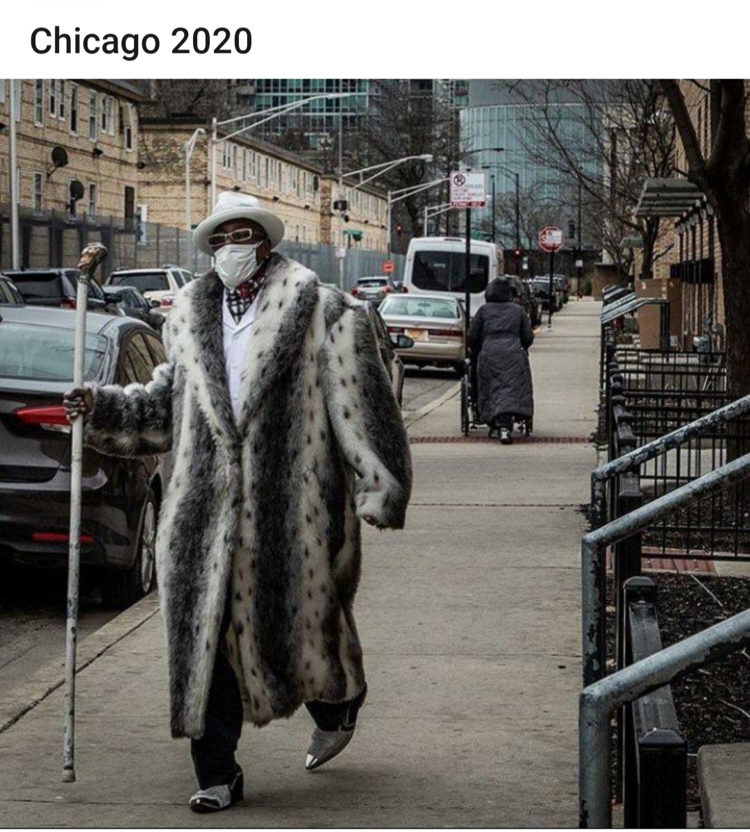fur clothing - Chicago 2020