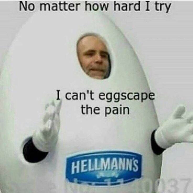 no matter how hard i try i cant eggscape the pain - No matter how hard I try I can't eggscape the pain Hellmanns