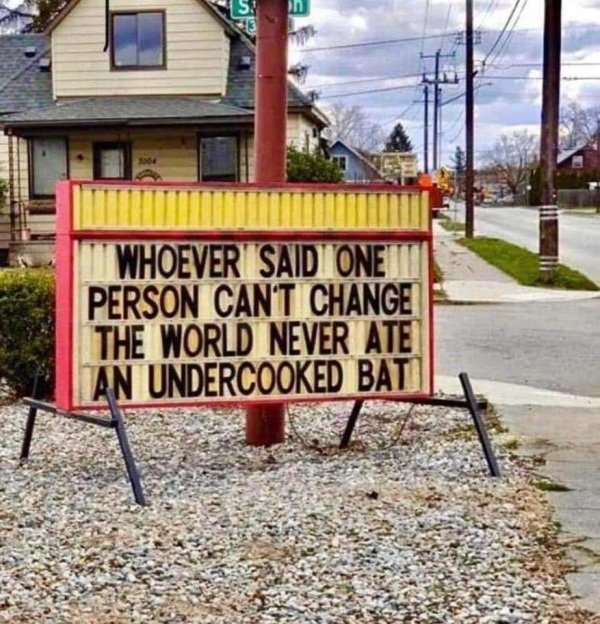 whoever said one person cant change the world never ate an undercooked bat - Whoever Said One Person Cant Change The World Never Ate An Undercooked Bati