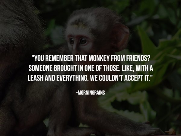 you night club - "You Remember That Monkey From Friends? Someone Brought In One Of Those. . With A Leash And Everything. We Couldn'T Accept It." Morningrains