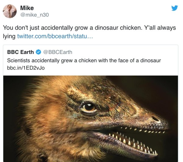 scientists accidentally grew a chicken with a dinosaur face - Mike You don't just accidentally grow a dinosaur chicken. Y'all always lying twitter.combbcearthstatu... Bbc Earth Scientists accidentally grew a chicken with the face of a dinosaur bbc.in1ED2v