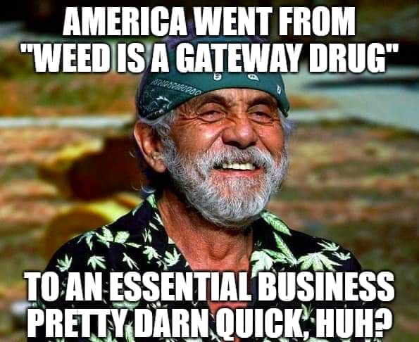 tommy chong laughing - America Went From "Weed Is A Gateway Drug" To An Essential Business Pretty Darn Quick, Huh?