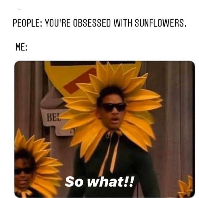 will smith sunflower - People You'Re Obsessed With Sunflowers. Me Be So what!!