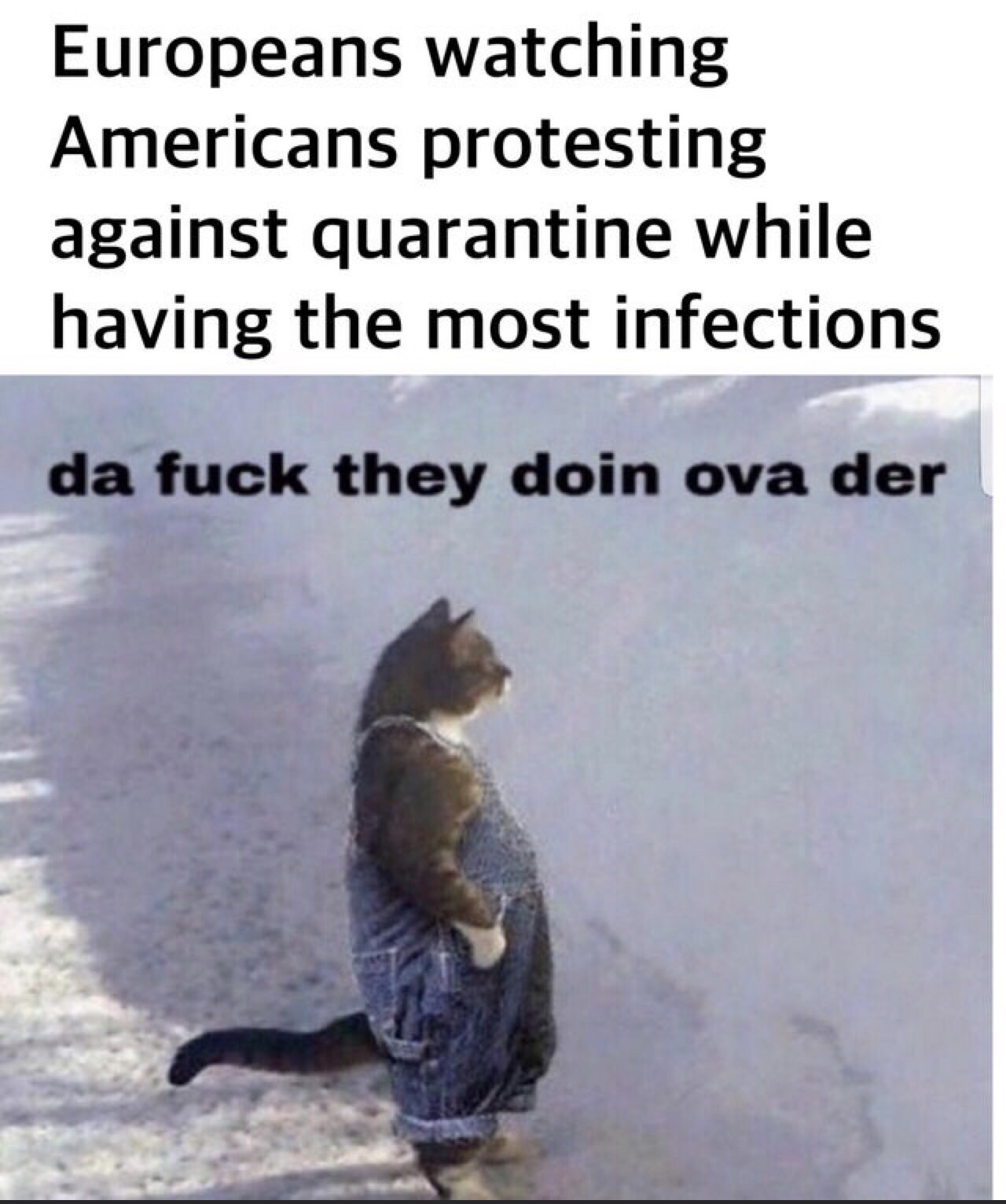 cat in overalls meme - Europeans watching Americans protesting against quarantine while having the most infections da fuck they doin ova der