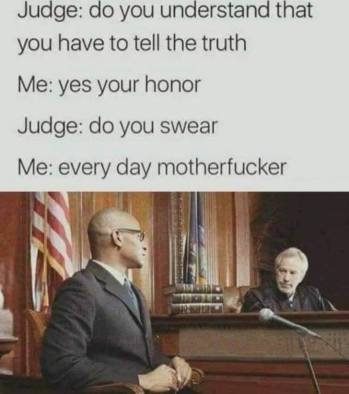 do you swear to tell the truth meme - Judge do you understand that you have to tell the truth Me yes your honor Judge do you swear Me every day motherfucker