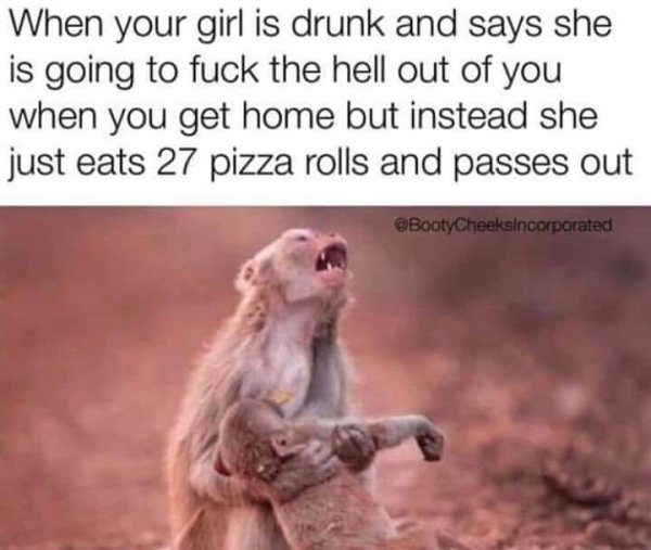 your girl is drunk meme - When your girl is drunk and says she is going to fuck the hell out of you when you get home but instead she just eats 27 pizza rolls and passes out