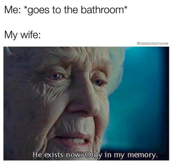 goodbye my lover goodbye my friend meme - Me goes to the bathroom My wife classicdadmoves He exists now. Only in my memory.