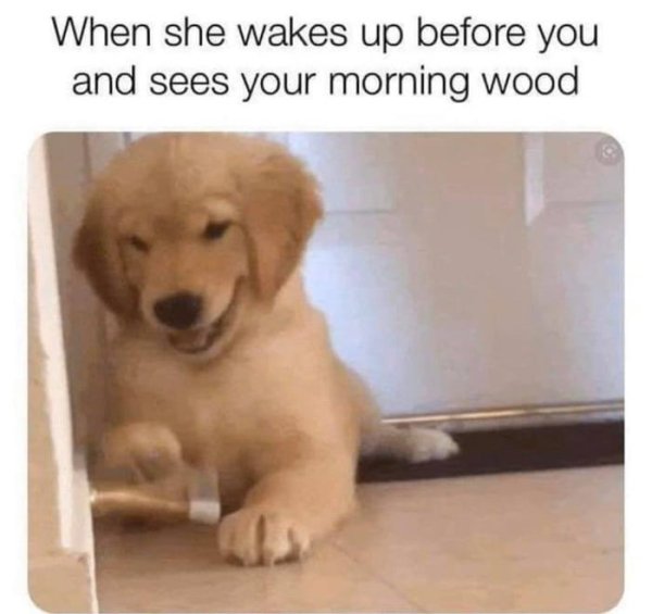 she sees your morning wood meme - When she wakes up before you and sees your morning wood