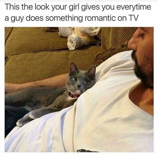 cat people memes - This the look your girl gives you everytime a guy does something romantic on Tv