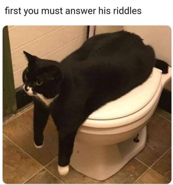 funny pics and memes - first you must answer his riddles - first you must answer his riddles