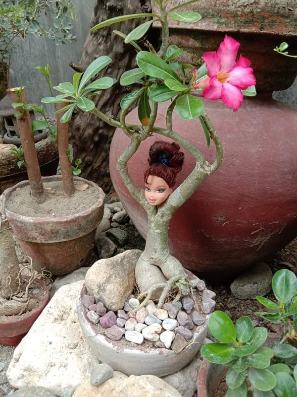 flowerpot with barbie doll head stuck in it