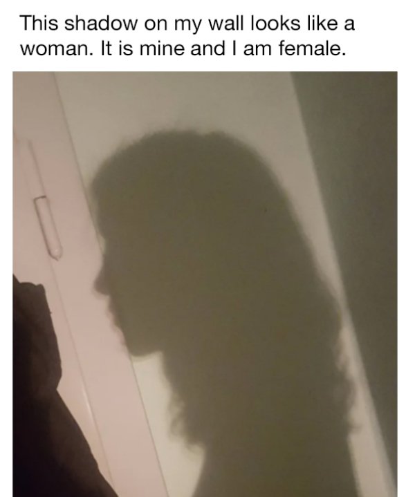 angle - This shadow on my wall looks a woman. It is mine and I am female.