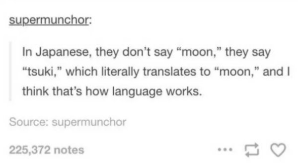 trick or yeet - supermunchor In Japanese, they don't say "moon, they say "tsuki, which literally translates to "moon," and I think that's how language works. Source supermunchor 225,372 notes