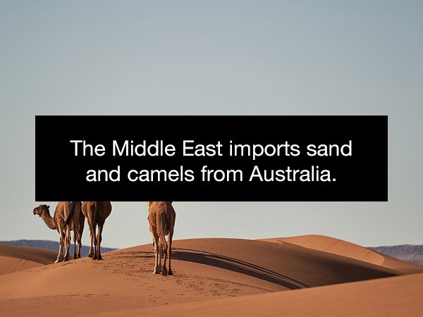 login transparent form design - The Middle East imports sand and camels from Australia.