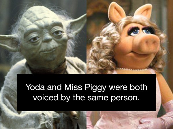 do or do not yoda meme - Yoda and Miss Piggy were both voiced by the same person.