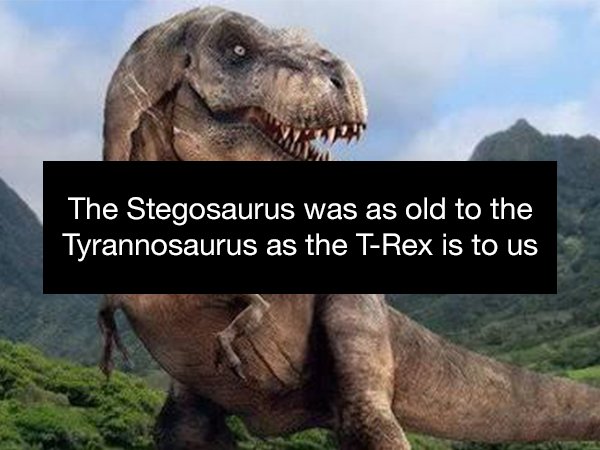 The Stegosaurus was as old to the Tyrannosaurus as the TRex is to us