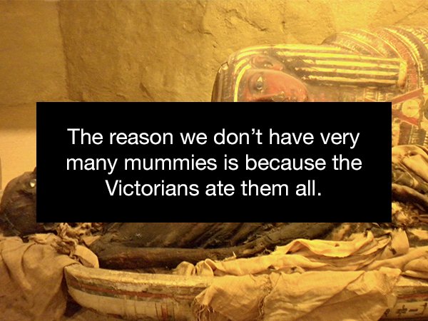 The reason we don't have very many mummies is because the Victorians ate them all.