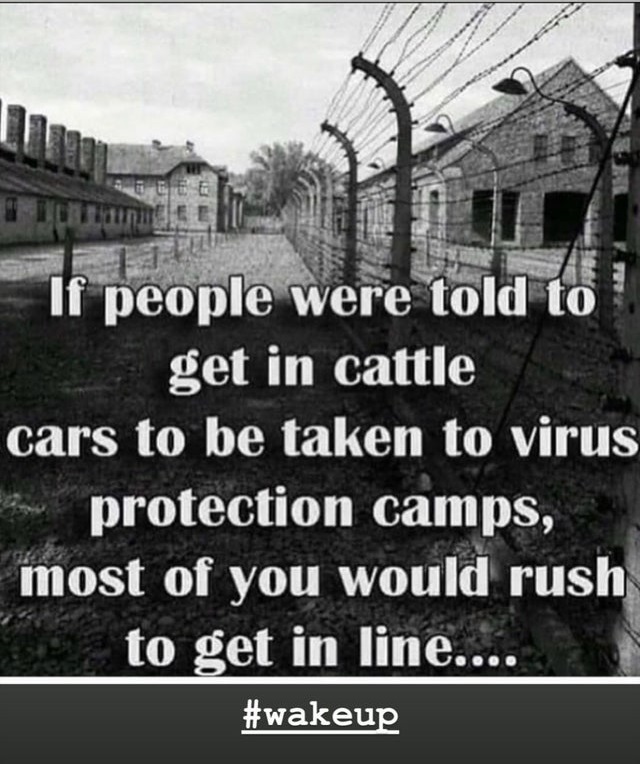 if people were told to get in cattle cars - If people were told to ! get in cattle cars to be taken to virus protection camps, most of you would rush to get in line....
