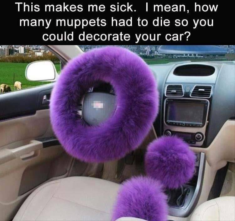 fuzzy steering wheel cover - This makes me sick. I mean, how many muppets had to die so you could decorate your car?