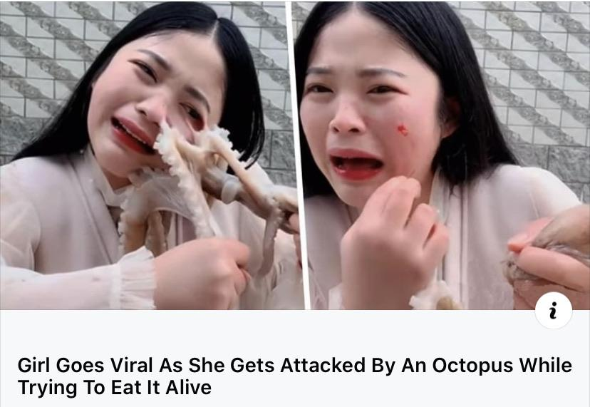 girl eating live octopus - Girl Goes Viral As She Gets Attacked By An Octopus While Trying To Eat It Alive