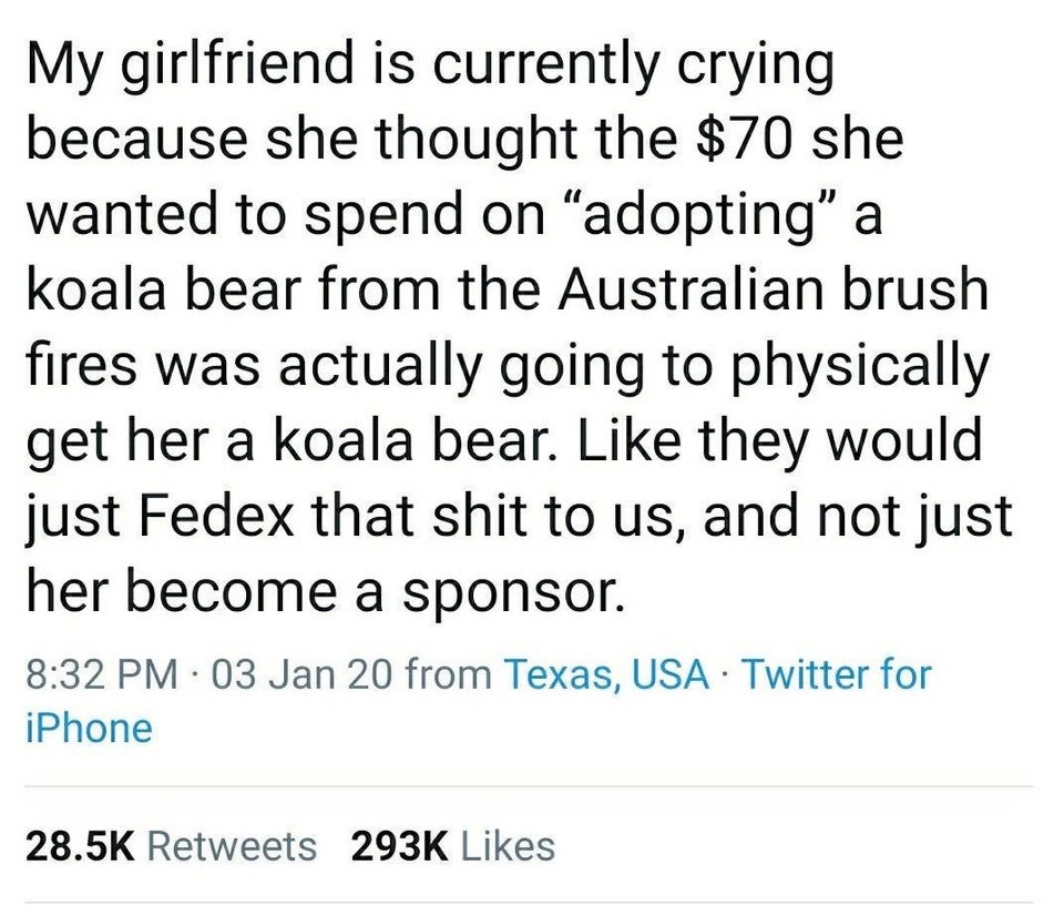 angle - My girlfriend is currently crying because she thought the $70 she wanted to spend on "adopting" a koala bear from the Australian brush fires was actually going to physically get her a koala bear. they would just Fedex that shit to us, and not just