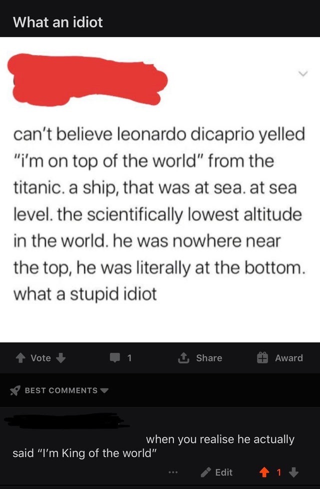 website - What an idiot can't believe leonardo dicaprio yelled "i'm on top of the world" from the titanic. a ship, that was at sea. at sea level. the scientifically lowest altitude in the world. he was nowhere near the top, he was literally at the bottom.