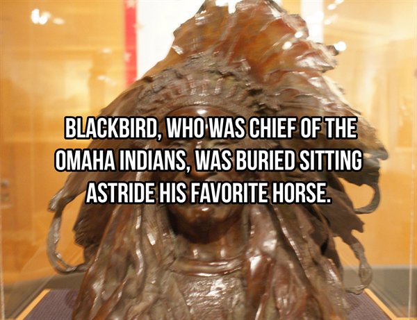 Blackbird, Who Was Chief Of The Omaha Indians, Was Buried Sitting Astride His Favorite Horse.