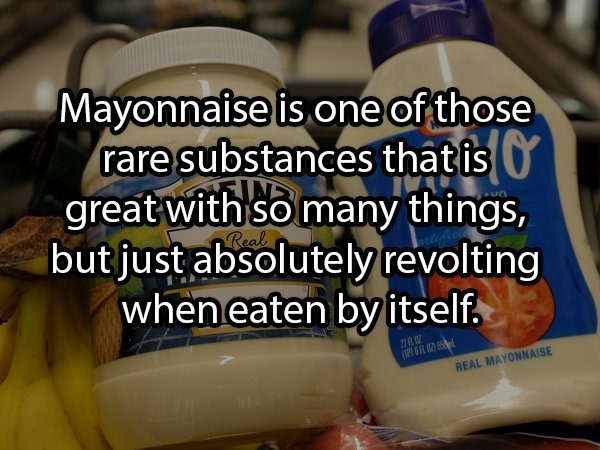 photo caption - Mayonnaise is one of those rare substances that is U great with so many things, but just absolutely revolting when eaten by itself. Page 1. Folk Real Mayonnaise