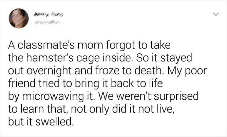 Humour - A classmate's mom forgot to take the hamster's cage inside. So it stayed out overnight and froze to death. My poor friend tried to bring it back to life by microwaving it. We weren't surprised to learn that, not only did it not live, but it swell