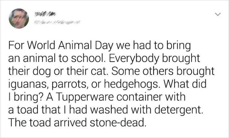 Dating - For World Animal Day we had to bring an animal to school. Everybody brought their dog or their cat. Some others brought iguanas, parrots, or hedgehogs. What did I bring? A Tupperware container with a toad that I had washed with detergent. The toa