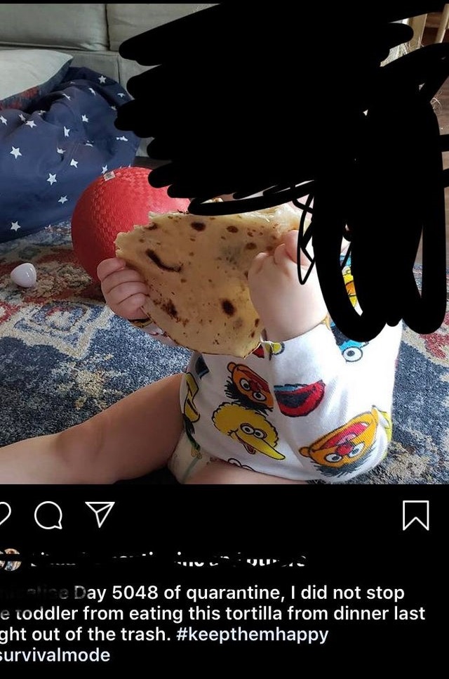 photo caption - Oo ooo line Day 5048 of quarantine, I did not stop e toddler from eating this tortilla from dinner last ght out of the trash. happy survivalmode