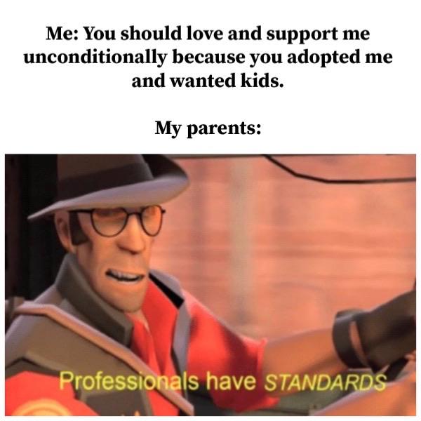 professionals have standards - Me You should love and support me unconditionally because you adopted me and wanted kids. My parents Professionals have Standards