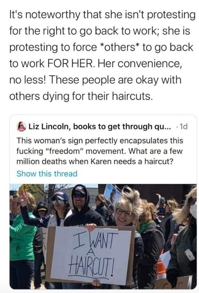 media - It's noteworthy that she isn't protesting for the right to go back to work; she is protesting to force others to go back to work For Her. Her convenience, no less! These people are okay with others dying for their haircuts. B Liz Lincoln, books to