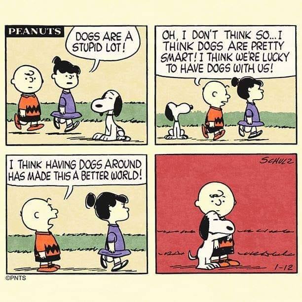 comic strip - Peanuts Dogs Are A Stupid Lot! Oh, I Don'T Think So... I Think Dogs Are Pretty Smart! I Think We'Re Lucky To Have Dogs With Us! Schulz I Think Having Dogs Around Has Made This A Better World! Rce 19 vissule 112 Cpnts