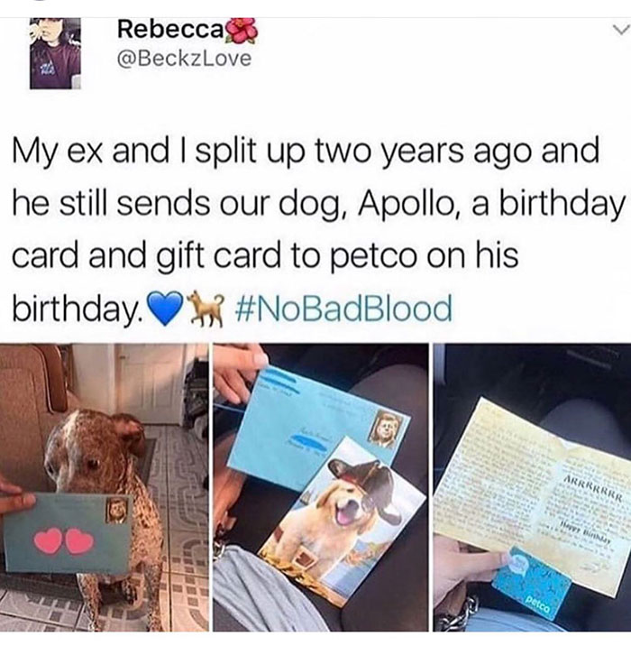 wholesome ex memes - Rebecca My ex and I split up two years ago and he still sends our dog, Apollo, a birthday card and gift card to petco on his birthday.