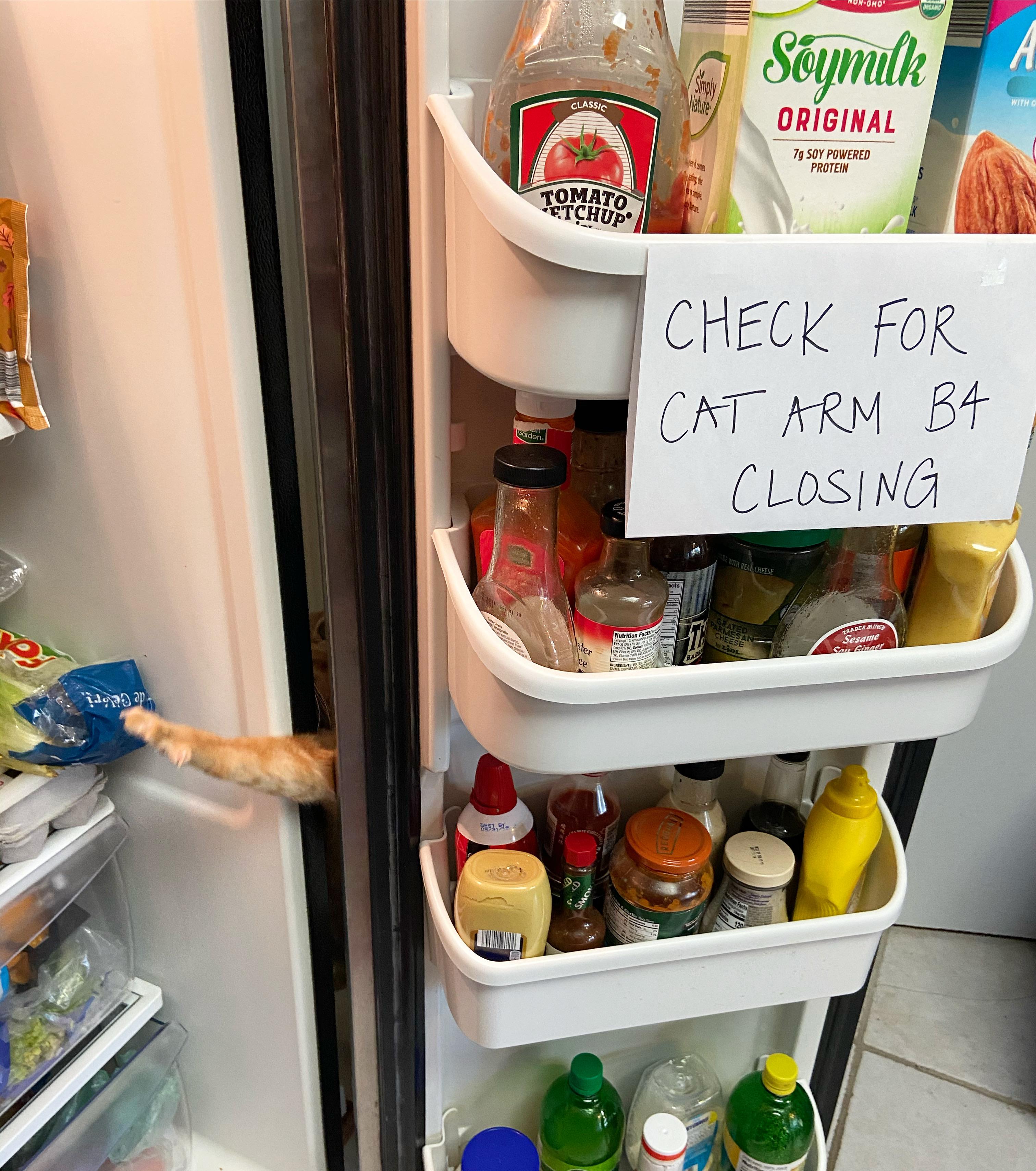 refrigerator - Soymilk Original . Tomato Etchup Check For Cat Arm B4 Closing