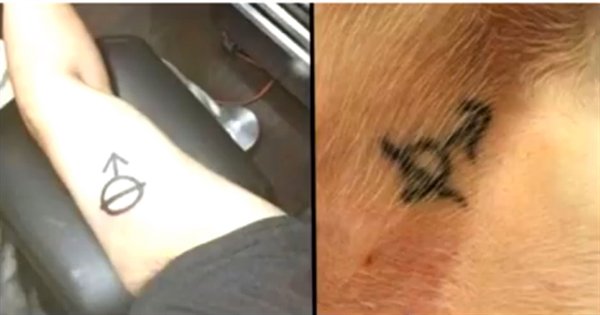 man gets tattoo he found on his pup