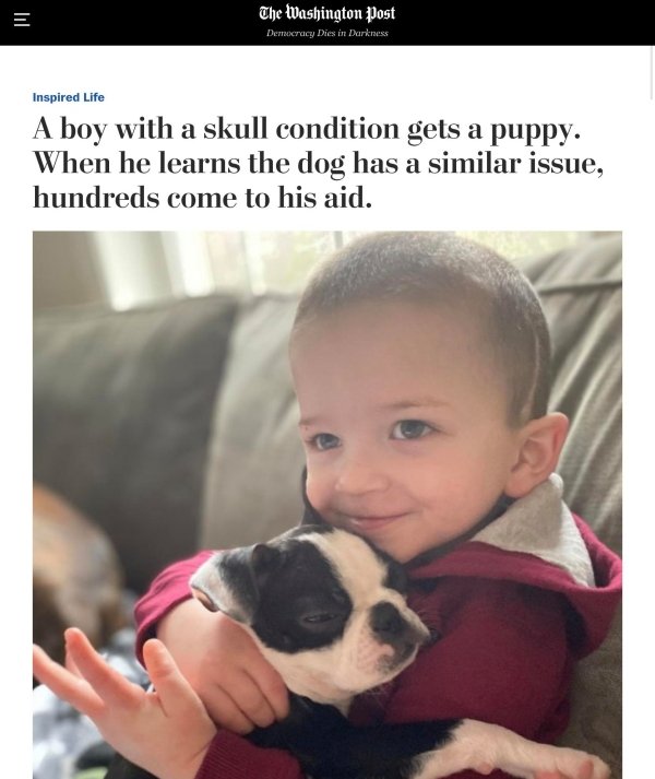 A boy with a skull condition gets a puppy. When he learns the dog has a similar issue, hundreds come to his aid.
