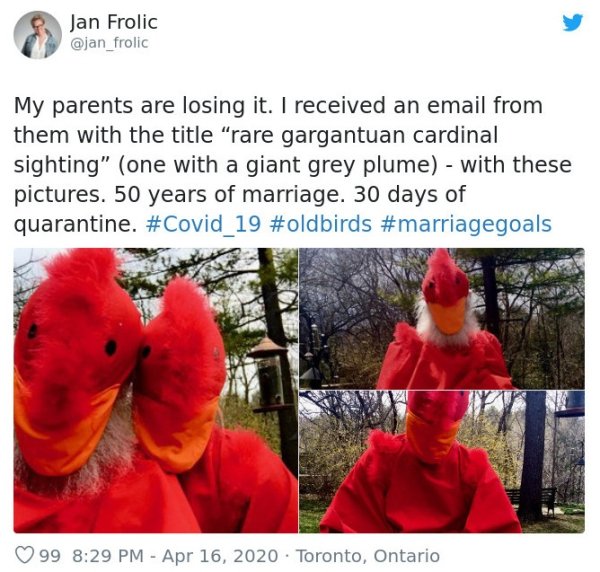 My parents are losing it. I received an email from them with the title rare gargantuan cardinal sighting (one with a giant grey plume) with these pictures. 50 years of marriage. 30 days of quarantine.