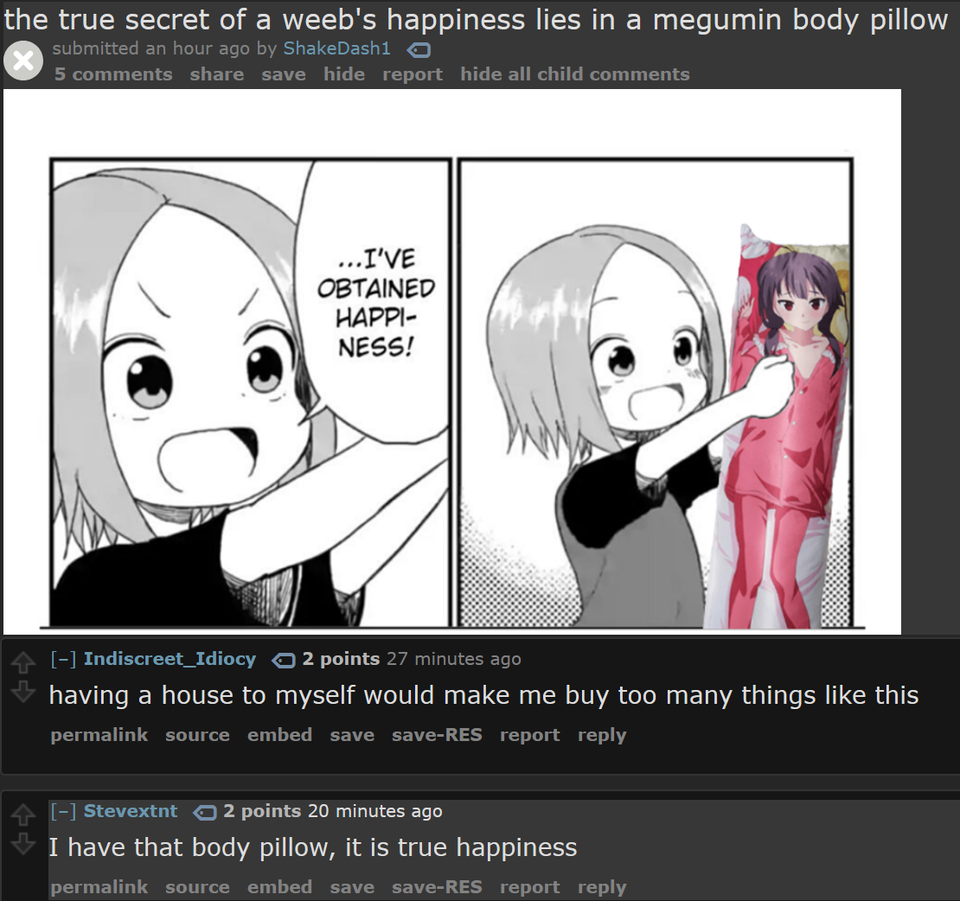 sanko san - the true secret of a weeb's happiness lies in a megumin body pillow submitted an hour ago by ShakeDashi X 5 save hide report hide all child ...I'Ve Obtained Happi Ness! Indiscreet_Idiocy 2 points 27 minutes ago having a house to myself would m