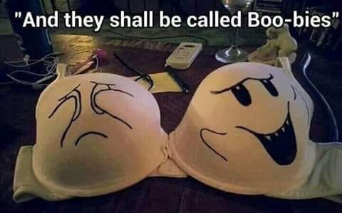 boo bies bra - "And they shall be called Boobies"