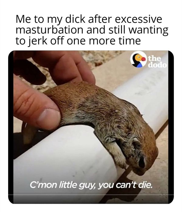 photo caption - Me to my dick after excessive masturbation and still wanting to jerk off one more time the dodo C'mon little guy, you can't die.