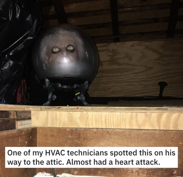 photo caption - One of my Hvac technicians spotted this on his way to the attic. Almost had a heart attack.