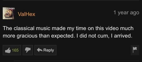 32 Pornhub Comments That Are Something Else.