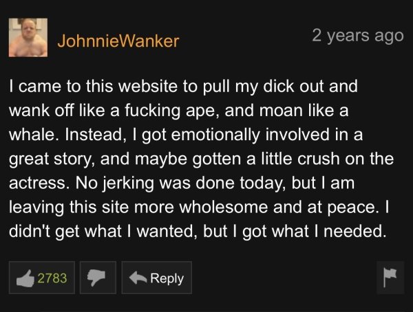 32 Pornhub Comments That Are Something Else.