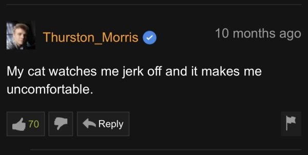 32 Pornhub Comments That Are Something Else.