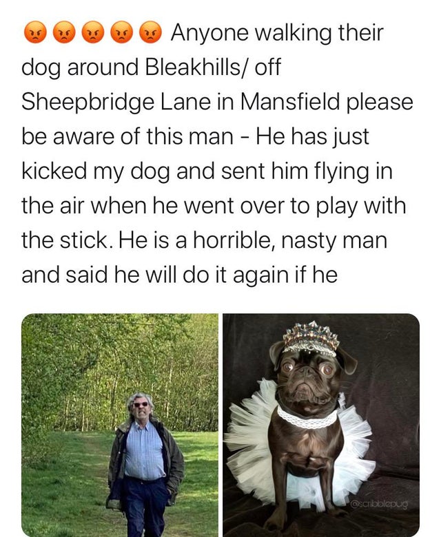 dog - Anyone walking their dog around Bleakhills off Sheepbridge Lane in Mansfield please be aware of this man He has just kicked my dog and sent him flying in the air when he went over to play with the stick. He is a horrible, nasty man and said he will 